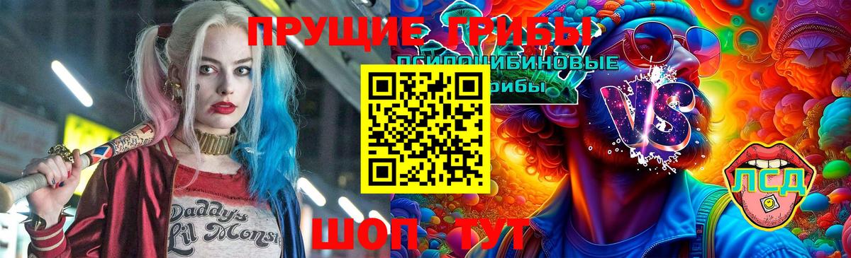 Псилоцибиновые грибы Psilocybe Благодарный